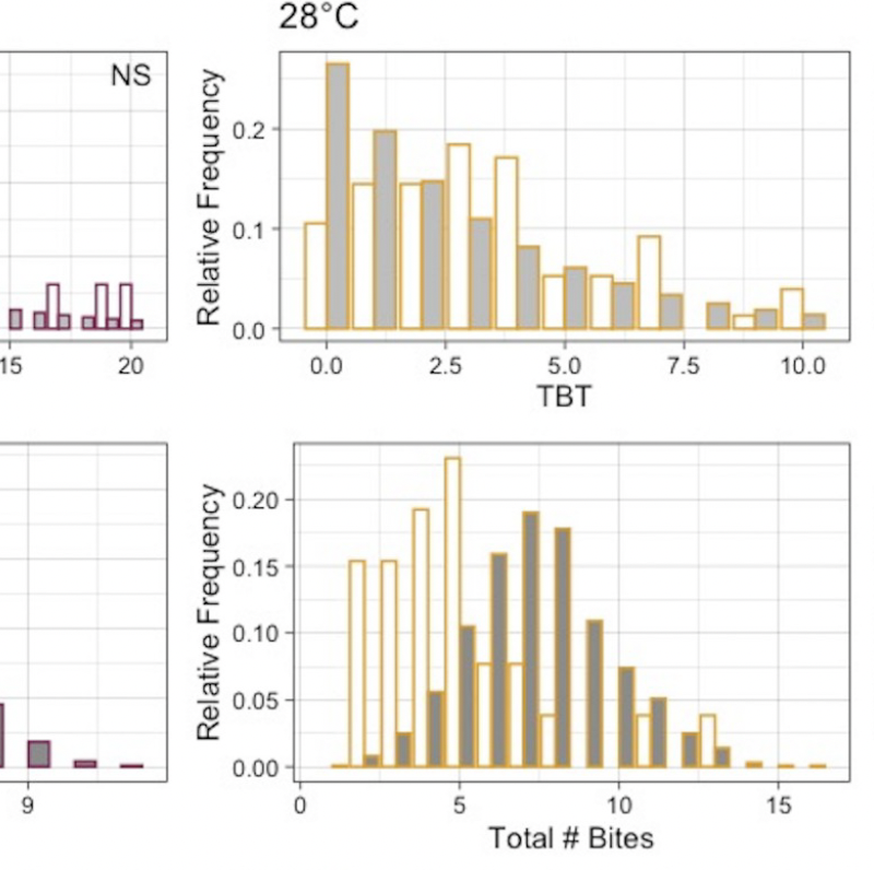 How do i bite thee? let me count the ways: Exploring the implications of individual biting habits of Aedes aegypti for dengue transmission