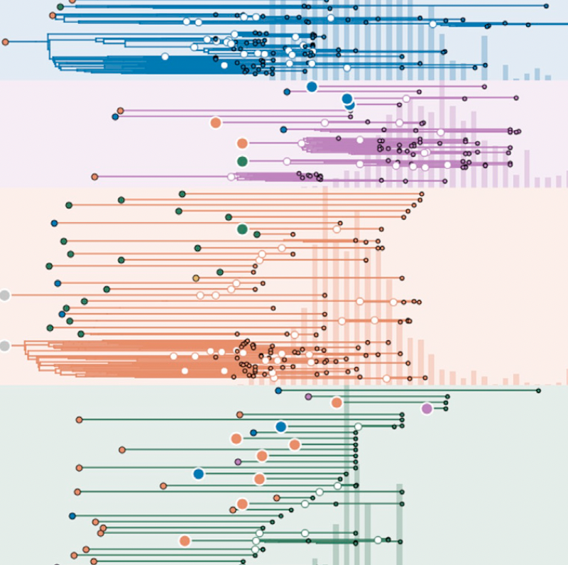 Underdetected dispersal and extensive local transmission drove the 2022 mpox epidemic