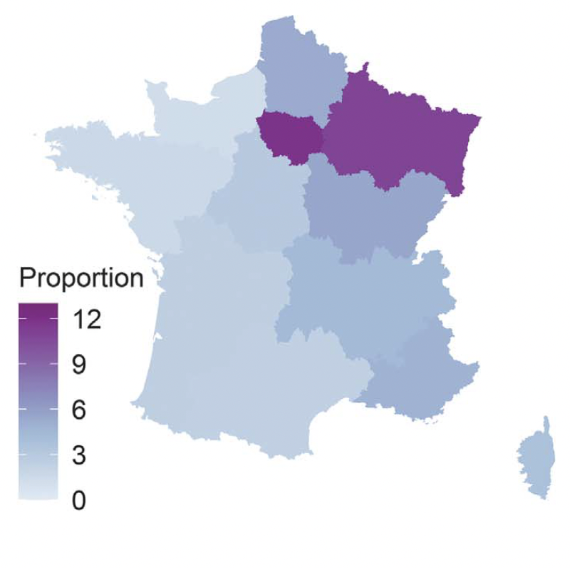Estimating the burden of SARS-CoV-2 in France