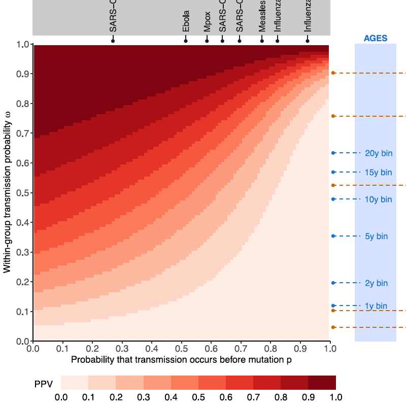 Characterizing the informativeness of pathogen genome sequence datasets about transmission between population groups